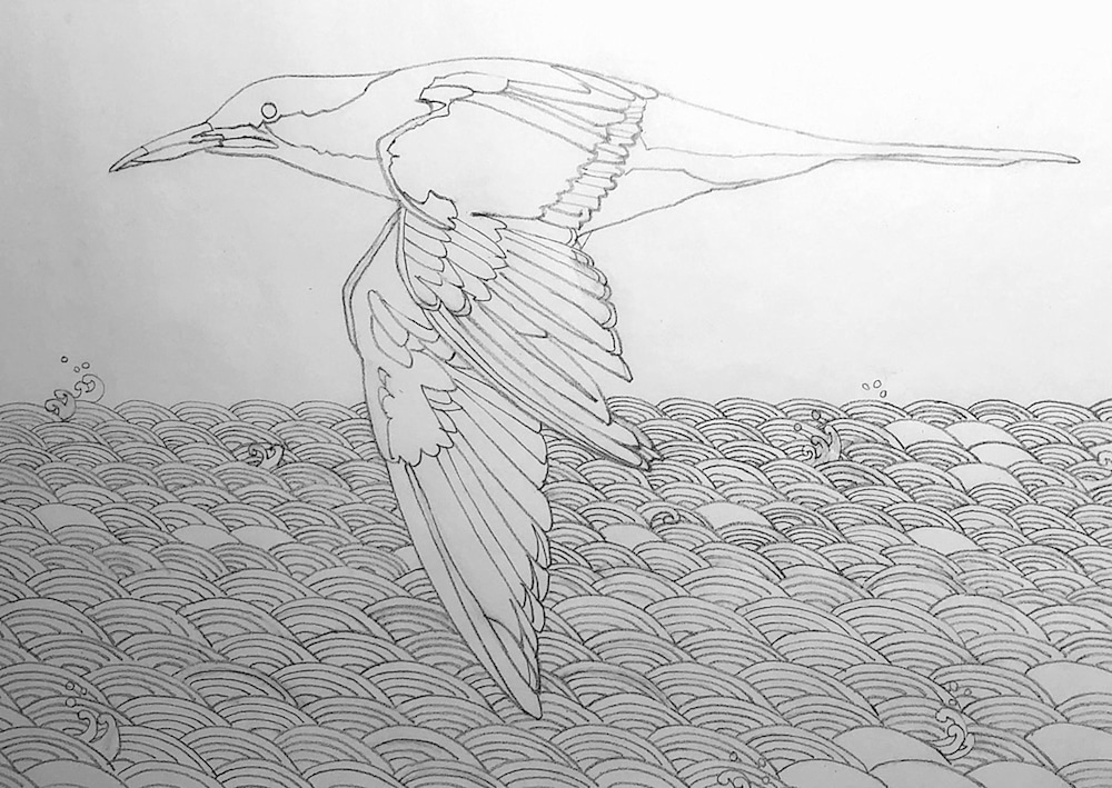 LYNN MATSUOKA   SAMPLE BIRD DRAWING