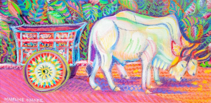 The Oxcart   Study