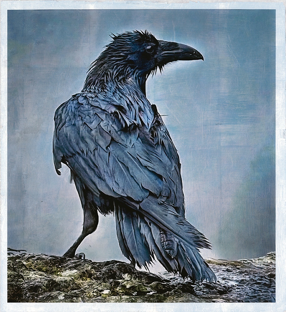 Sandy Brown Jensen Silver Raven of Heceta Head