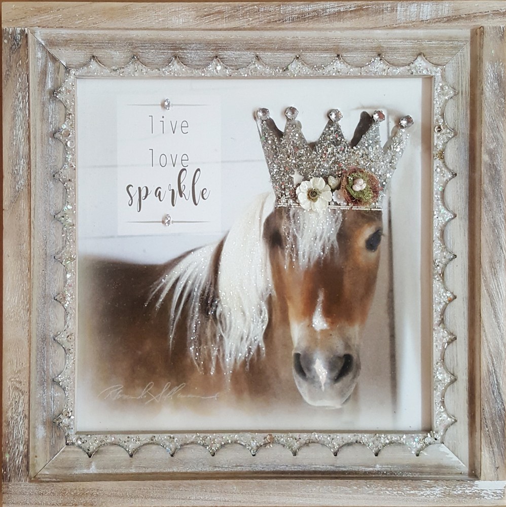 pony framed