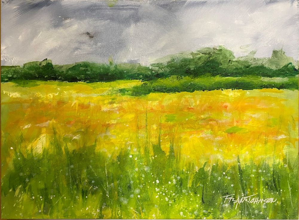 Marsh Meadow
