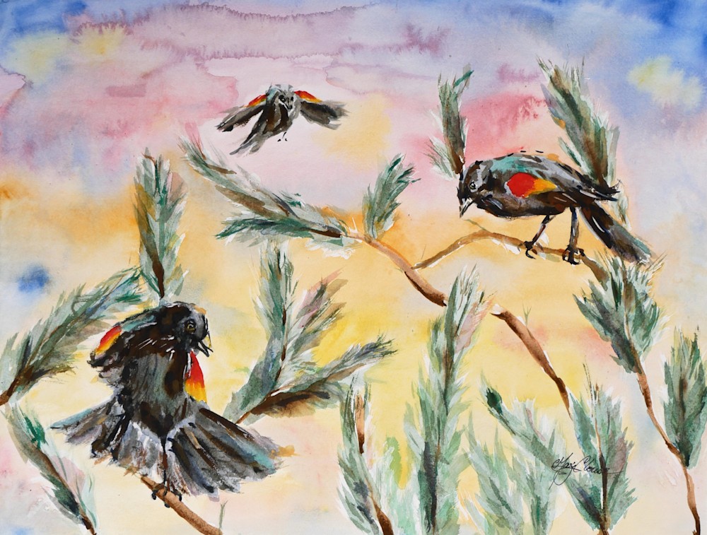 Red winged Blackbird Fly