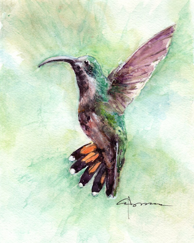 Hummingbird in green