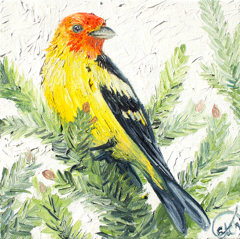 western tanager cropped