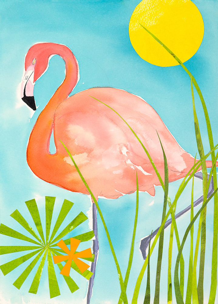 Flamingo in Grass