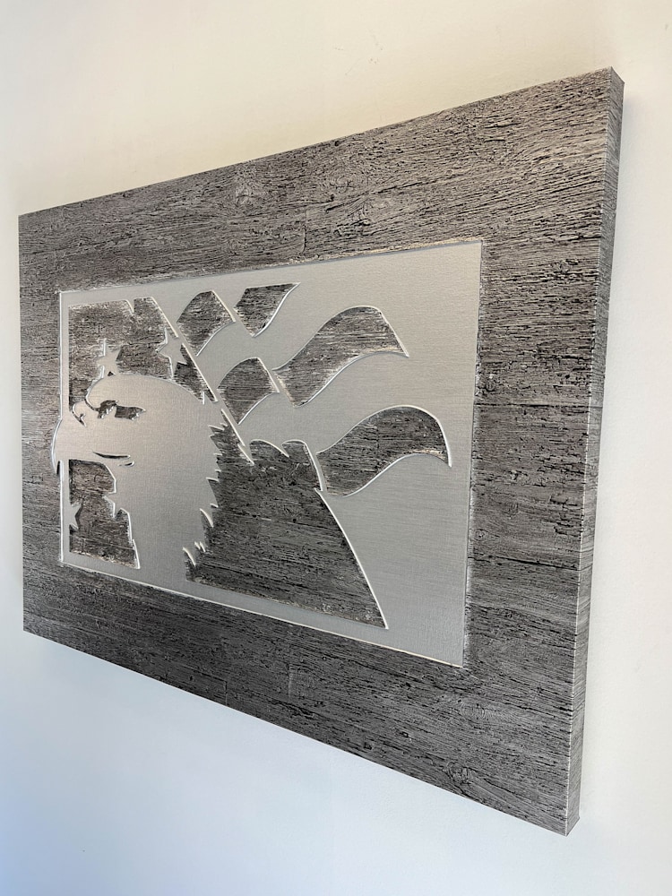 America Silver Angle