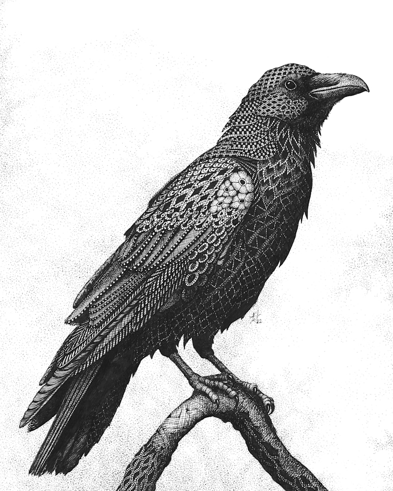 Raven  