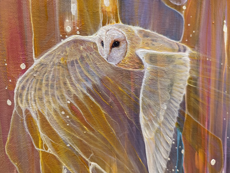 athenas owl d3 S