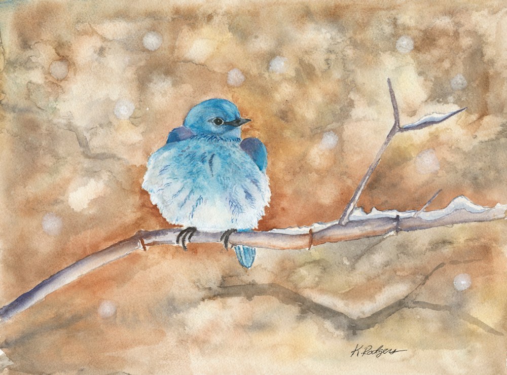 Bluebird low