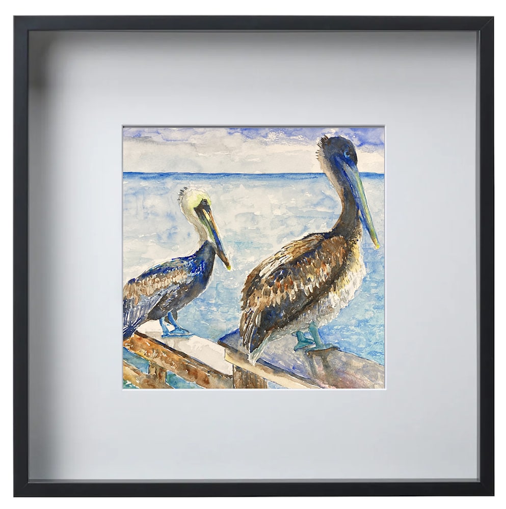 pelican duo framed blk