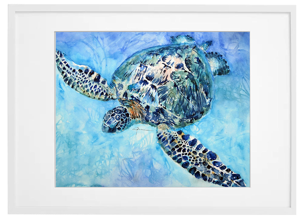 sea turtle 34 framed wht