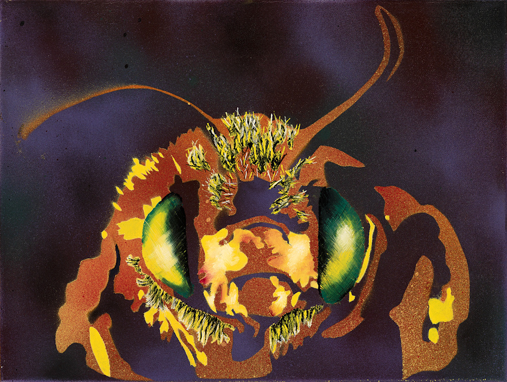 Portrait Of A Pollinator Number 1