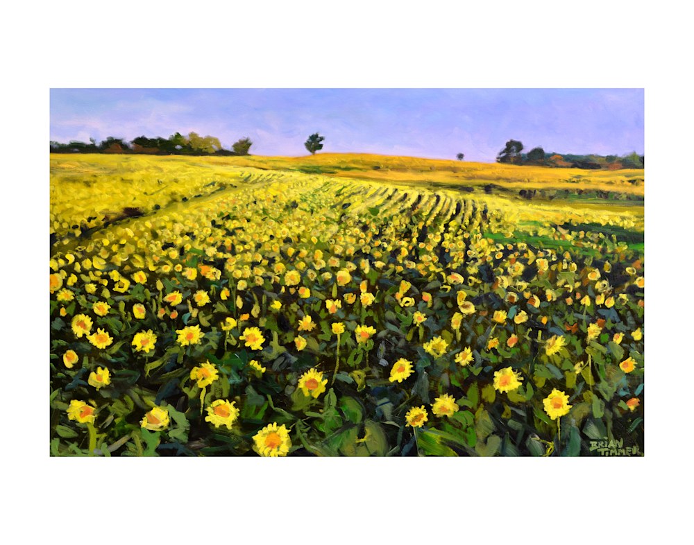 Sunflower Painting 11X14