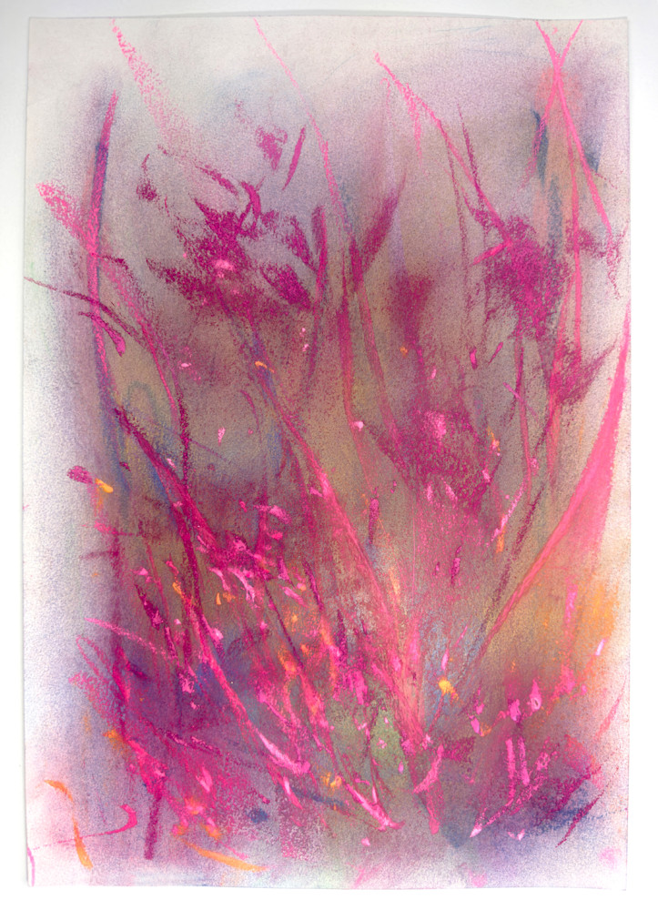 WILDFLOWERS IN A MAGENTA DREAM OCT2022 UC 20mb