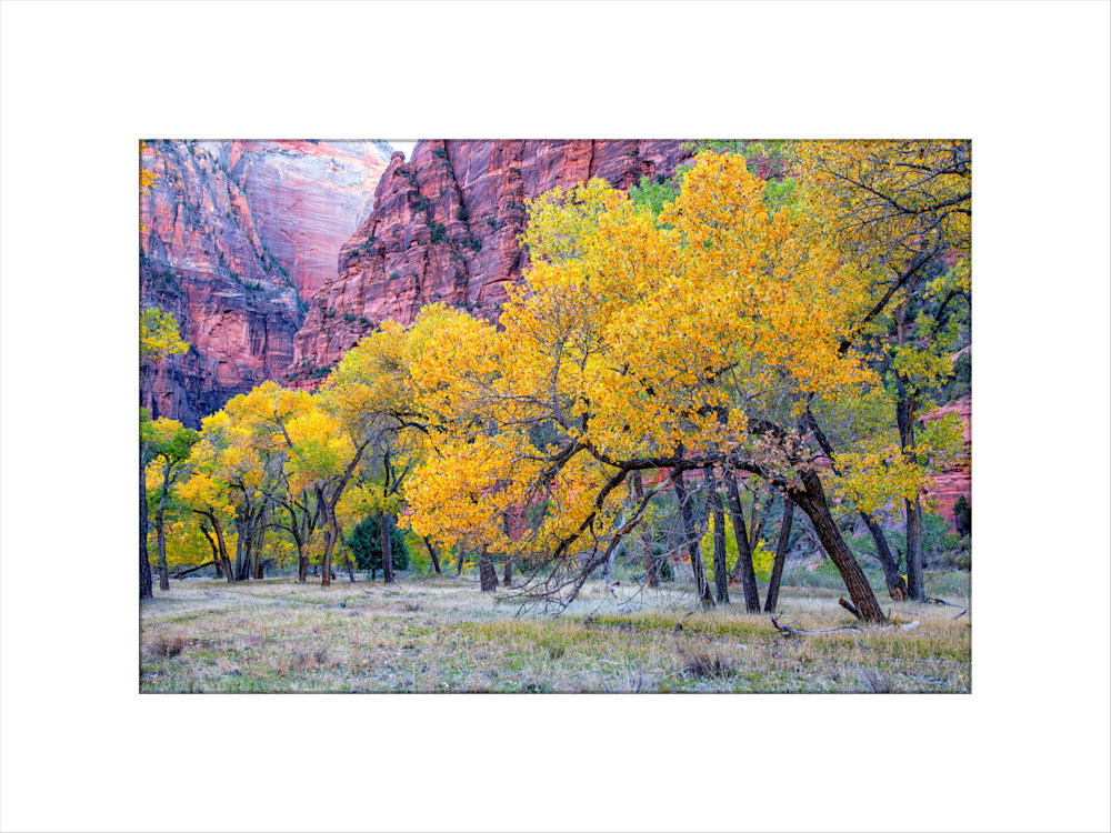 Autumn at the Grotto gift print