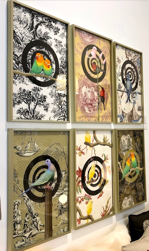 wallpaper birds on wall
