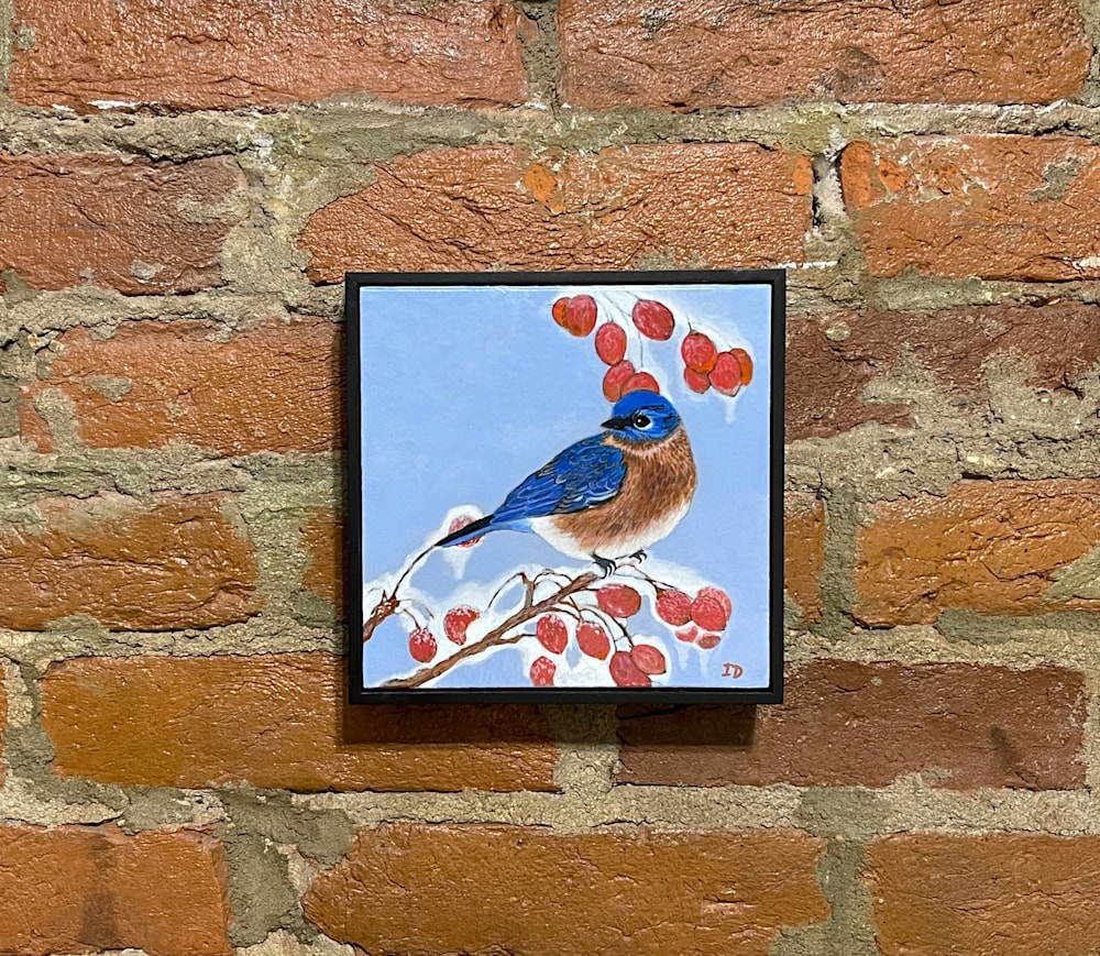 Blue Bird in frame
