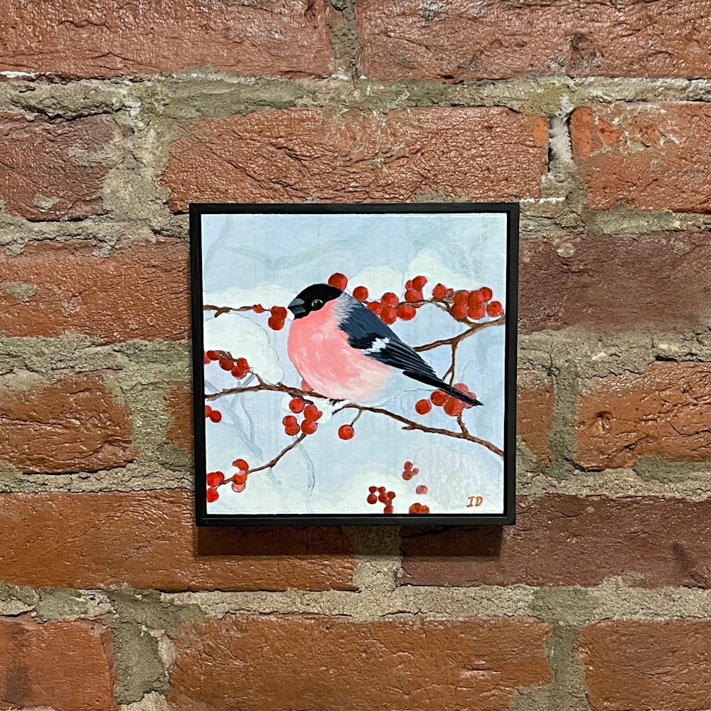 Bullfinch in frame
