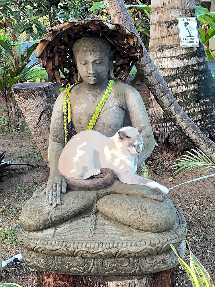 cat on buddha paint