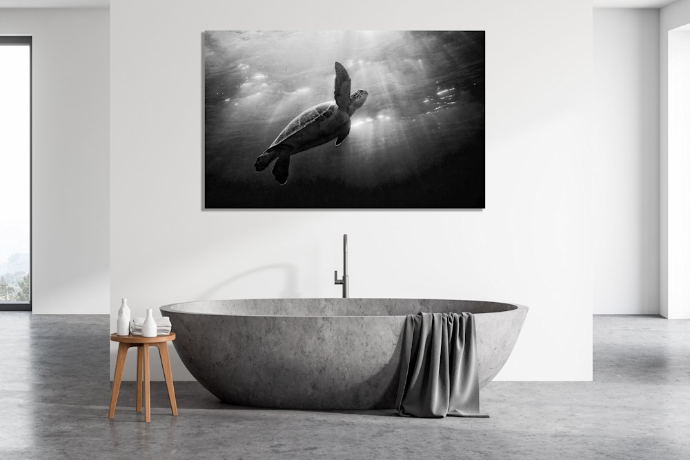 shutterstock 1661979124 copy