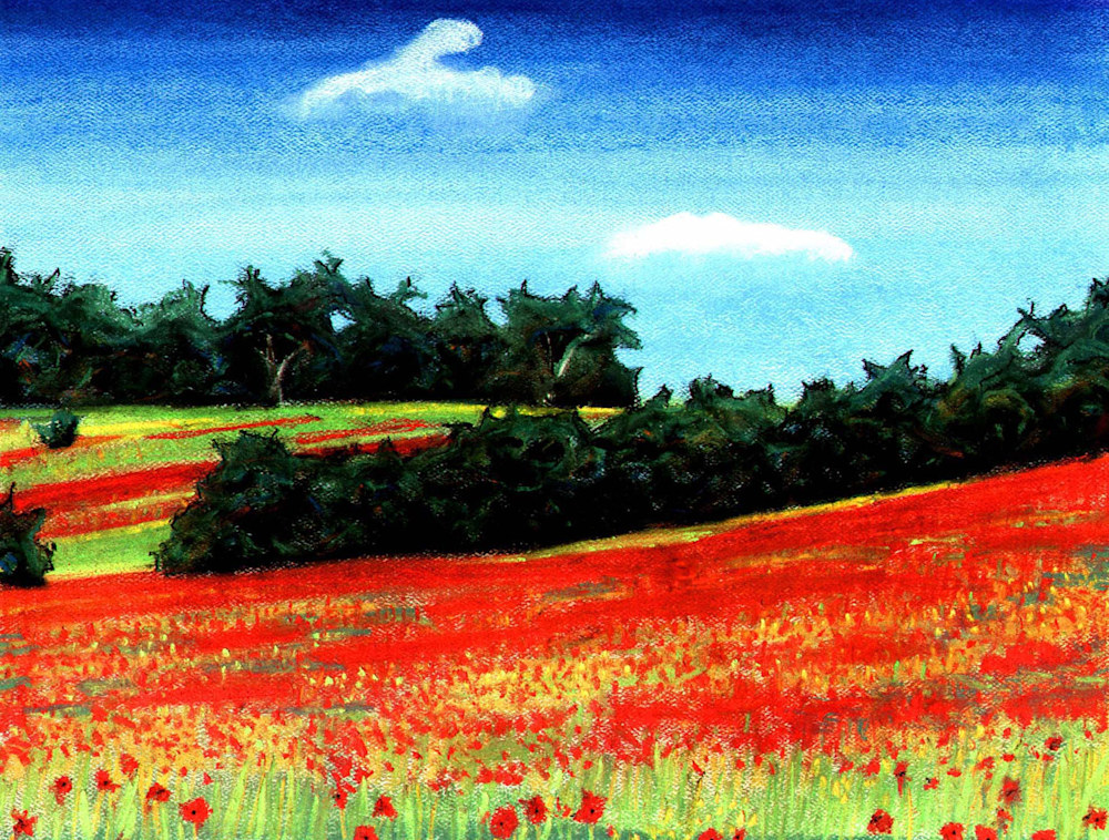 Poppies on a Hill