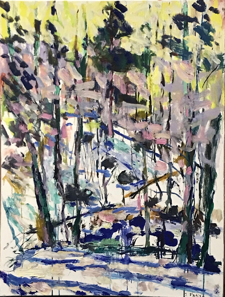 IMG 3361 Rocky Hillside 40x30 Oil L0253 72ppi