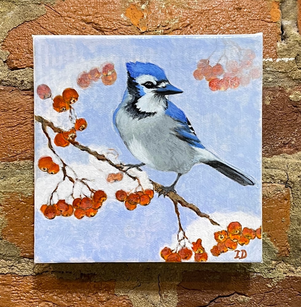 Blue Jay on wall