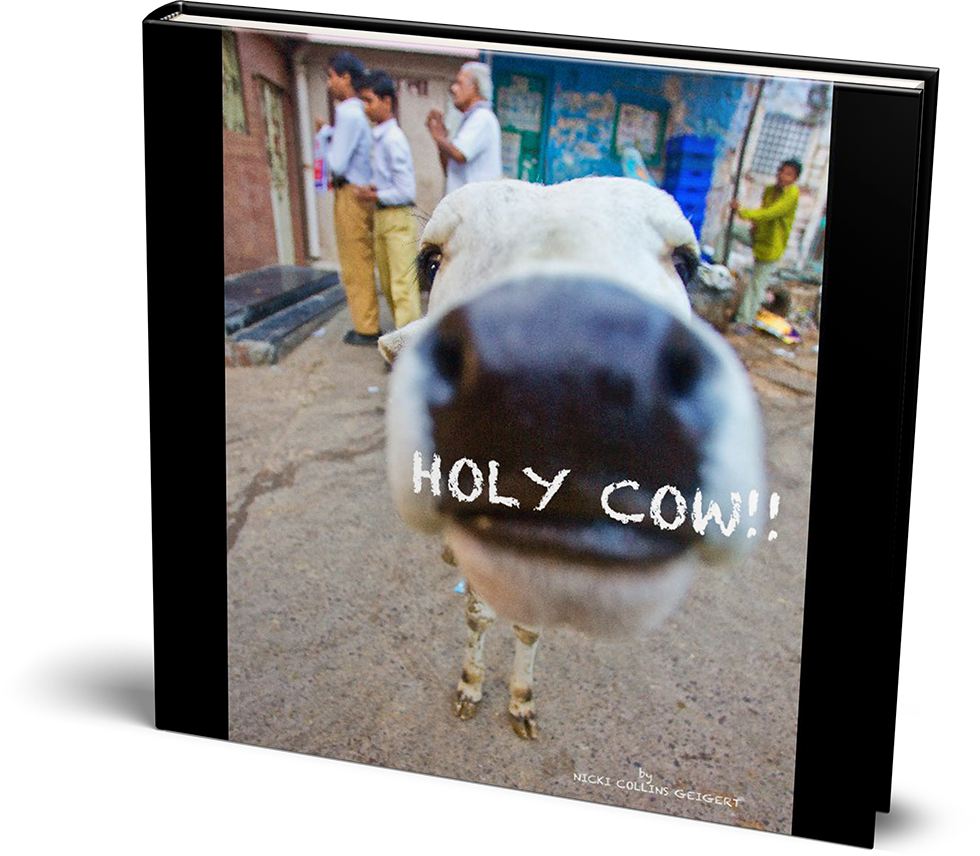 Holy Cow Book Mockup