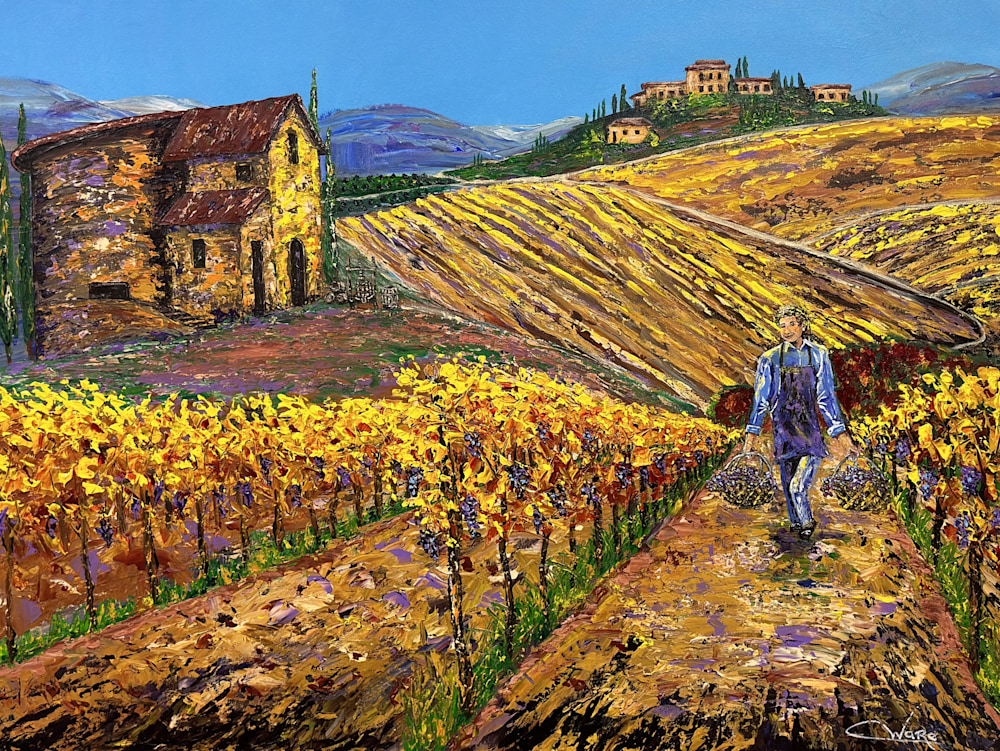 Vintage Tuscan Vineyard
