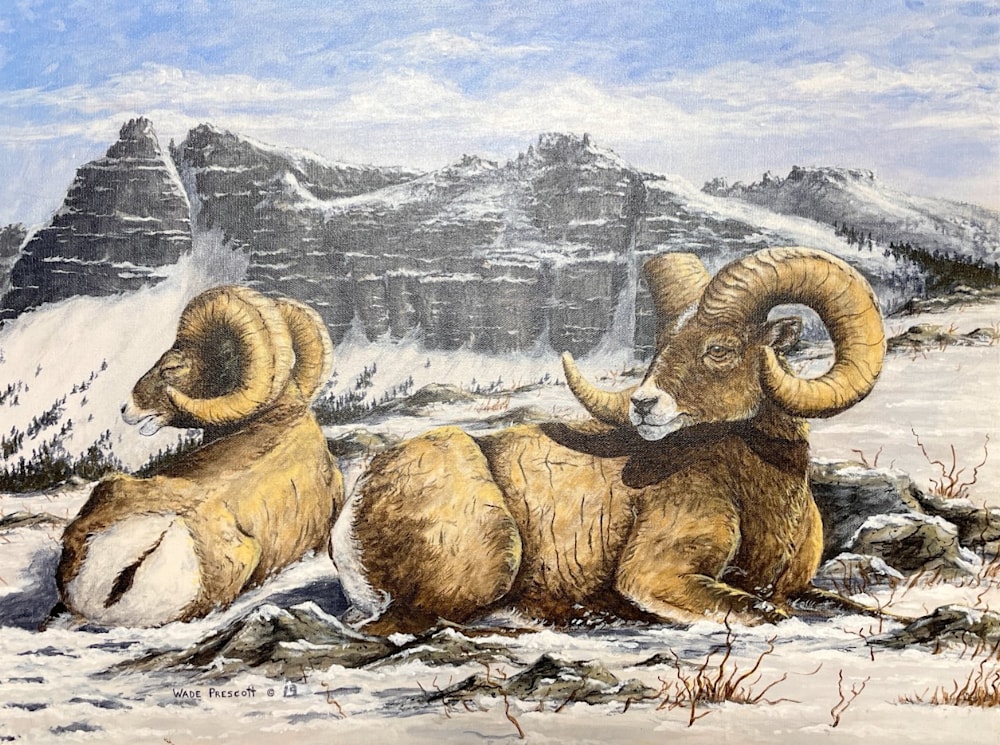 Double On The Rocks Art Wildlife Art of Wade Prescott