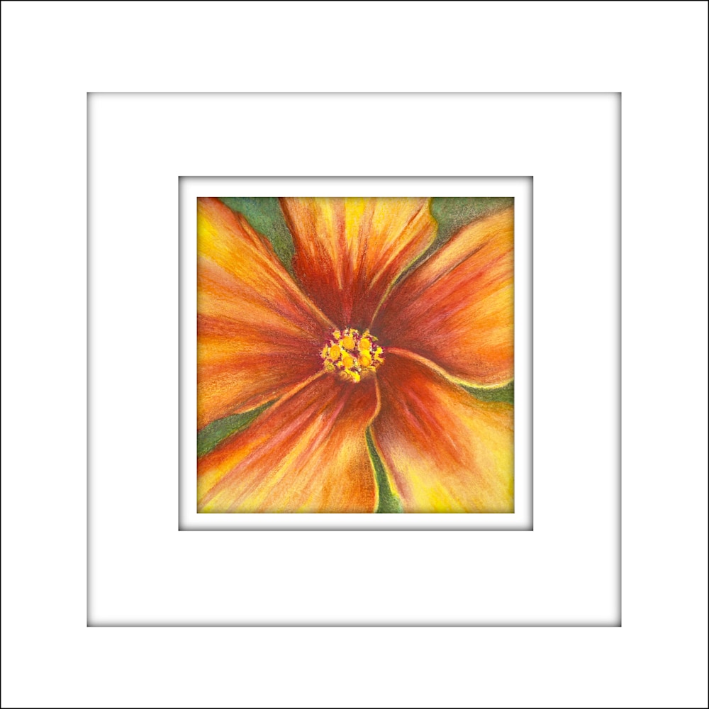 221203 Orange Hibiscus Single Centered framed