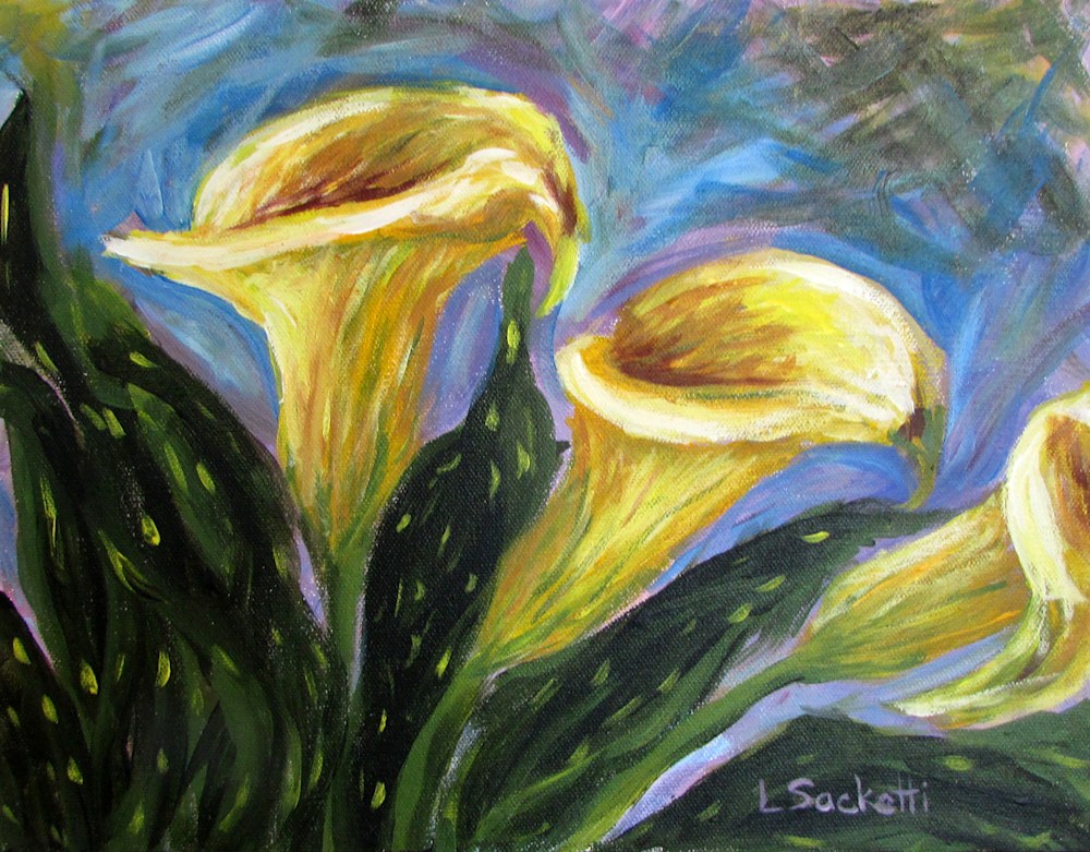 Calla Lilies 2