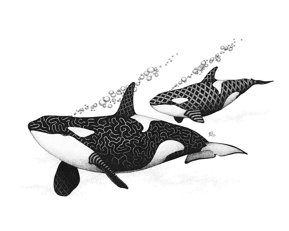 Orcas  Swim Lessons