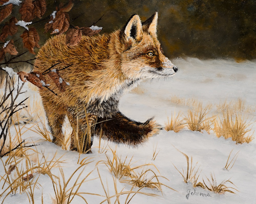 Johanna Lerwick   A Winter Stroll   Red Fox 8x10