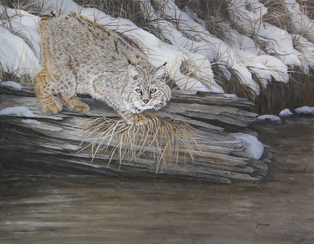Johanna Lerwick   On The prowl   Bobcat 14x18 $2800