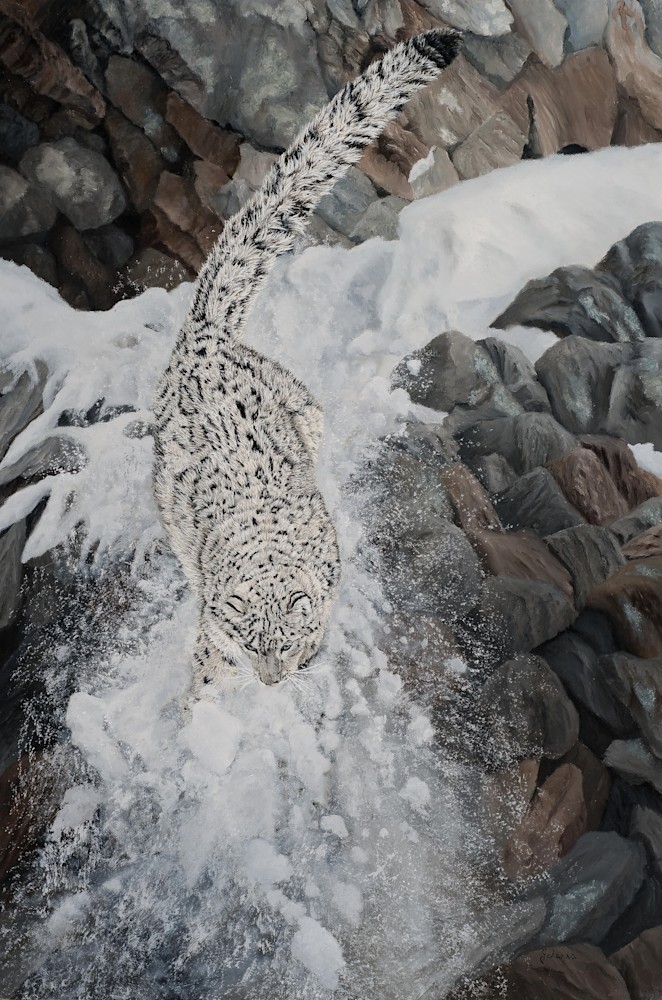 Johanna Lerwick   The Descent   Snow Leopard