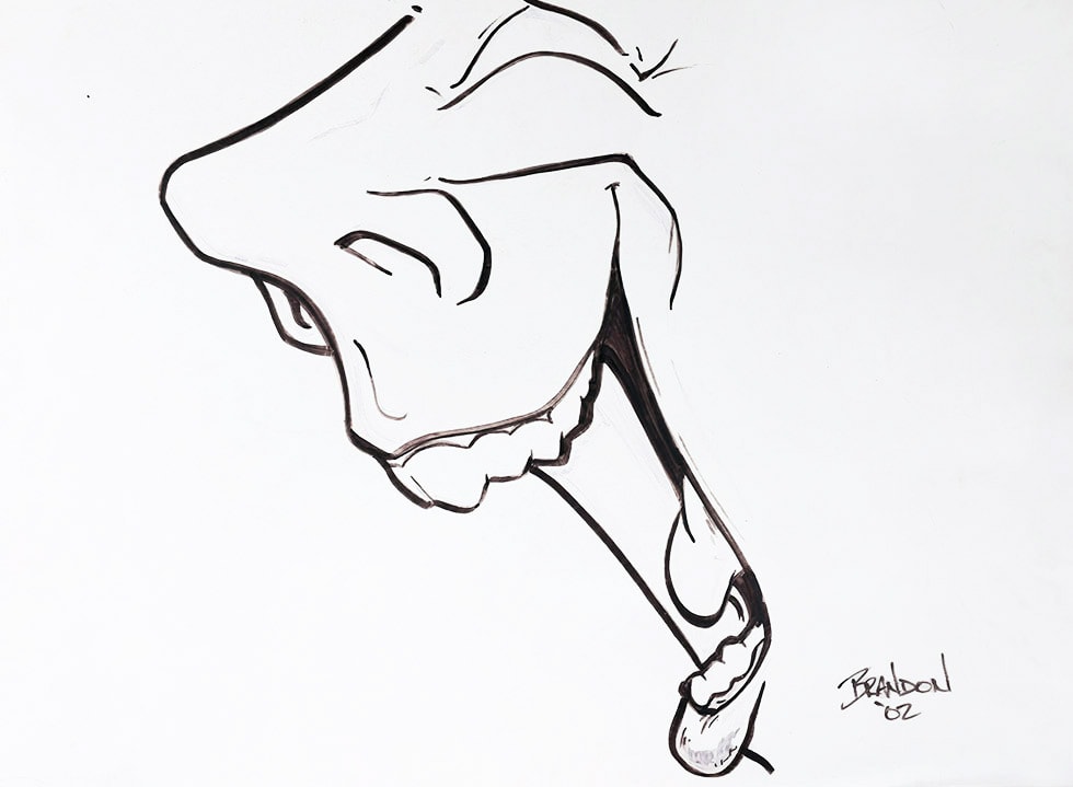 Brandon PS edit Laugh BrG 0201 sm