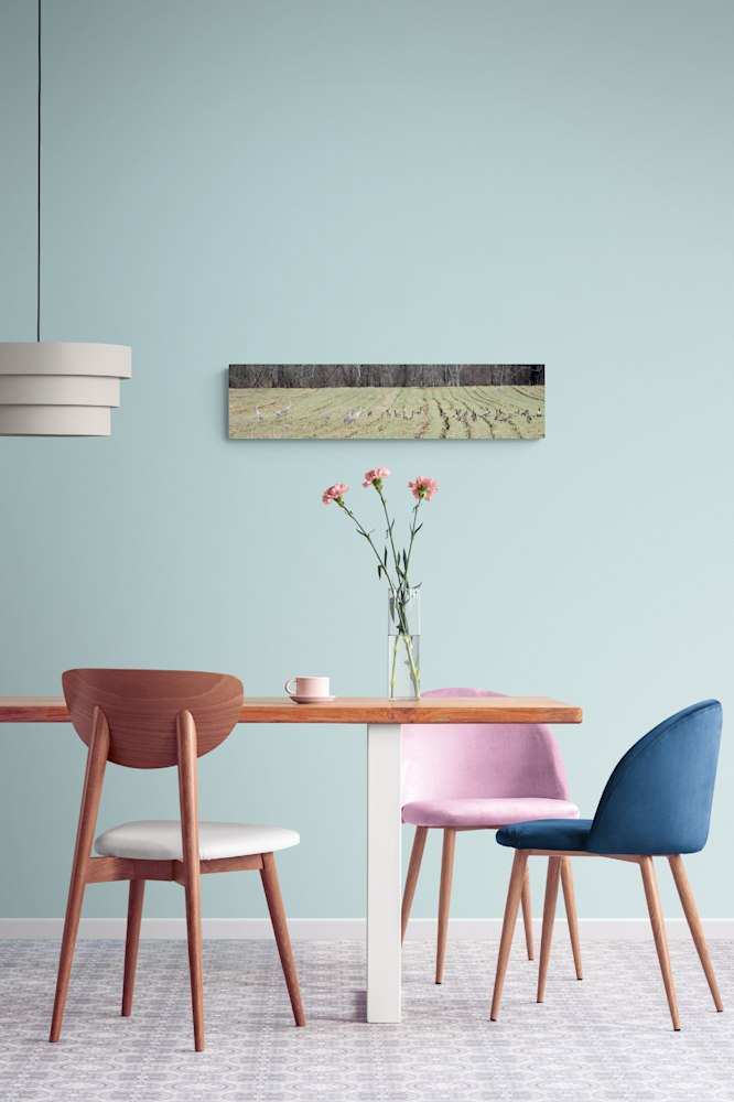 Stylish bright dining room (1)