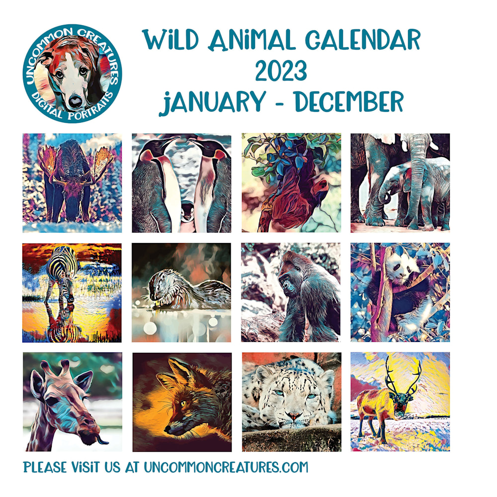 Wild Animal Calendar Back Page