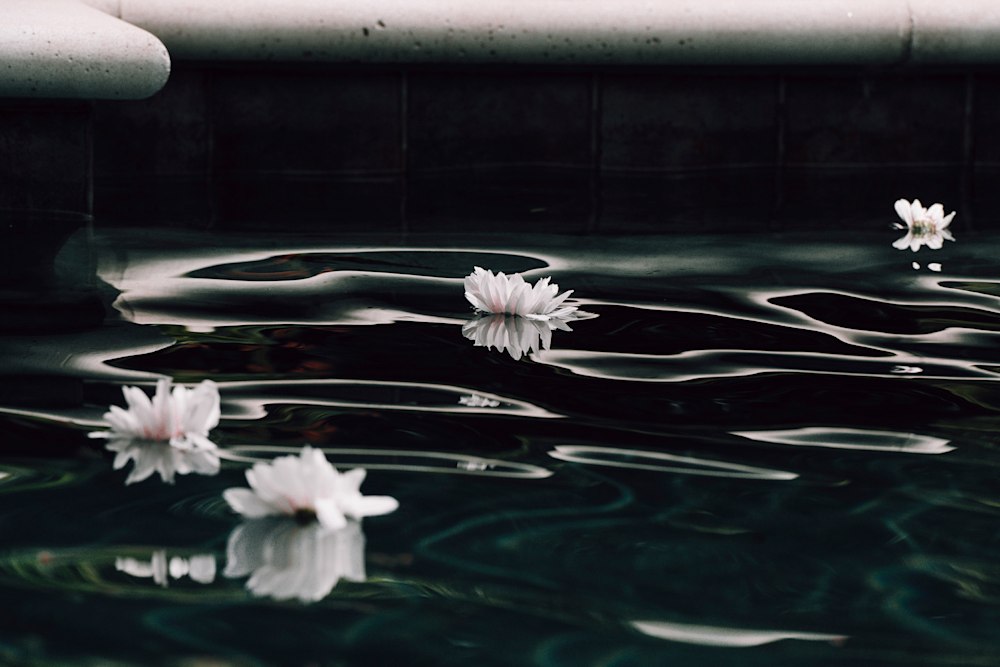 Nocturn In Stimuli