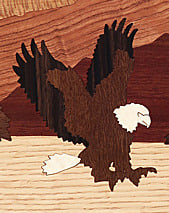 eaglefishing detail