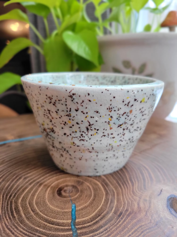 Speckled Bowl (6)