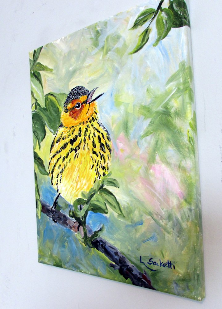 Cape May Warbler 1
