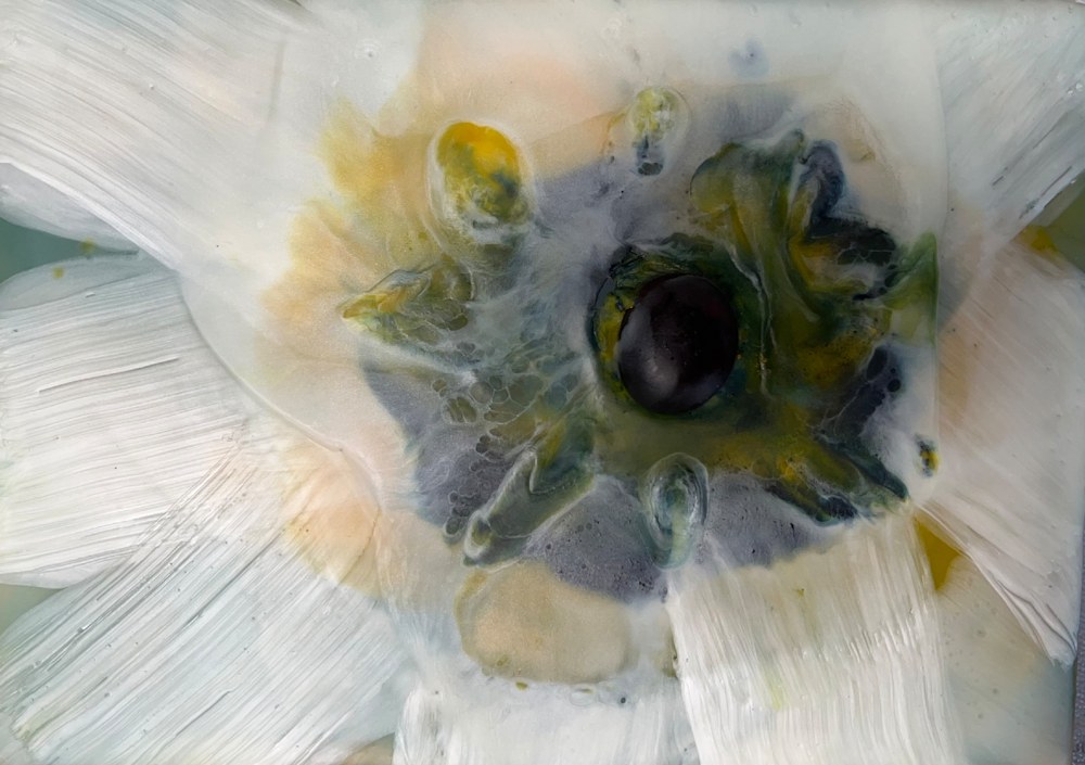 Floral Vision