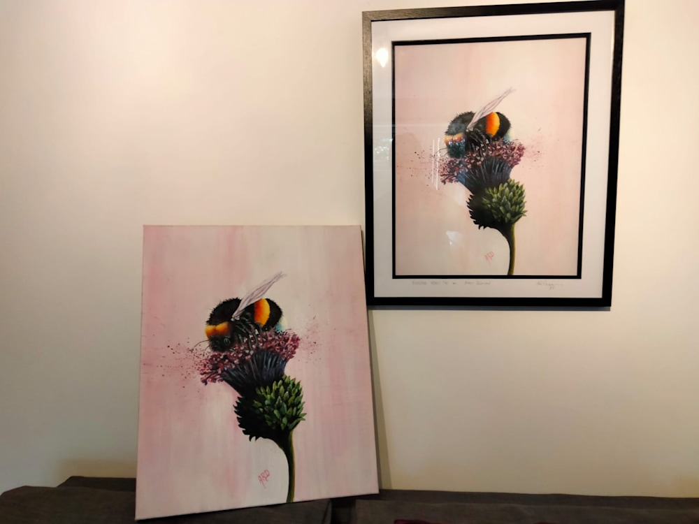 Highland Honey download from WA AD 0091 O