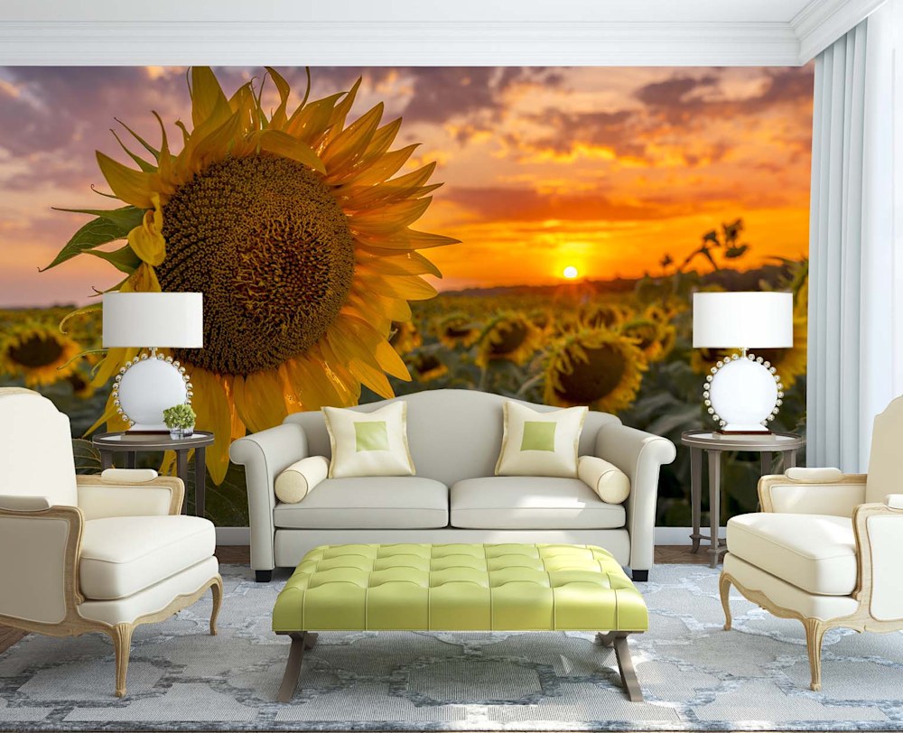 Summer Sunflower Sunset 3