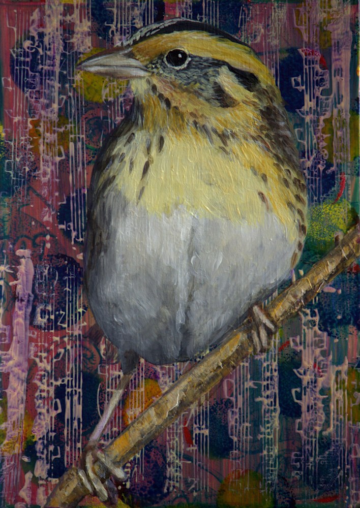 Lorelle Carr   Day 89 Le Conte's Sparrow 7 x 5 SOLD