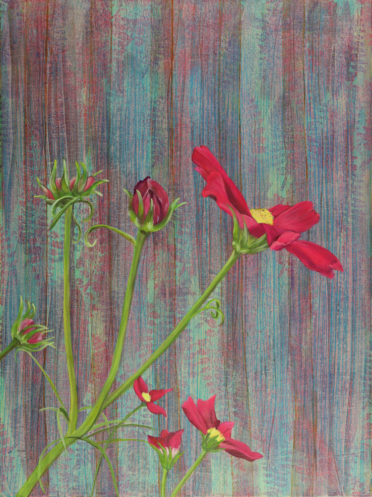Lorelle Carr   Cosmos 24 x 18 $820