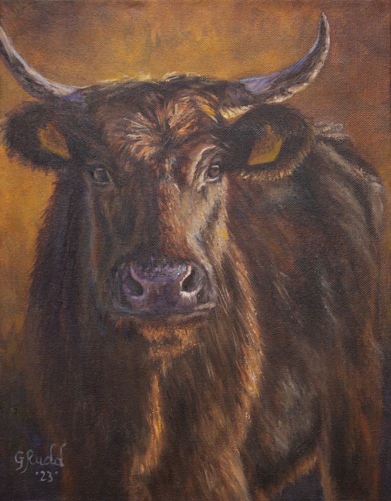 Gloria Rudd   Red Cow, 11 x 14, $275