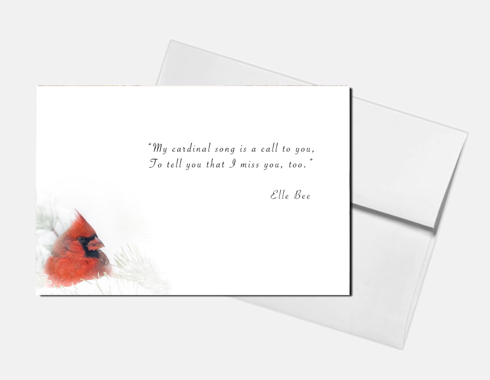 cardinal  song 1 card w envelope